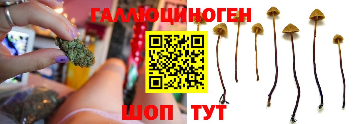 Галлюциногенные грибы ЛСД Трёхгорный