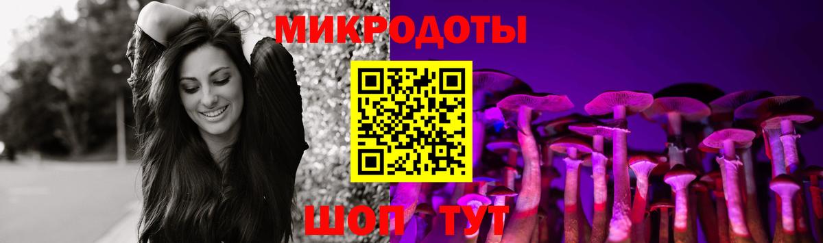 Псилоцибиновые грибы Cubensis  Вход с VPN  Трёхгорный 
